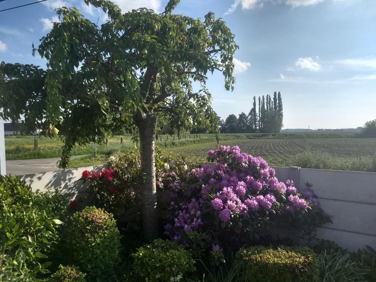 Dhofstede Vakantiewoning Уденарде Екстериор снимка