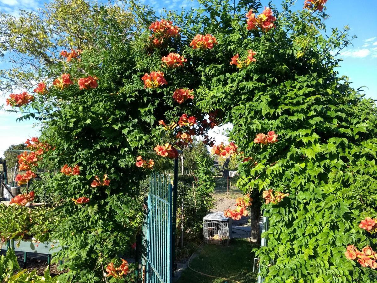 Dhofstede Vakantiewoning Уденарде Екстериор снимка